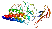 interleukin 2 receptor, alpha chain